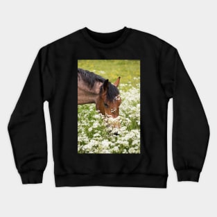 Summer Grazing Crewneck Sweatshirt